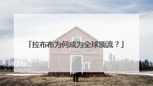 拉布布为何成为全球顶流？