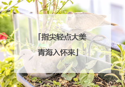 指尖轻点大美青海入怀来