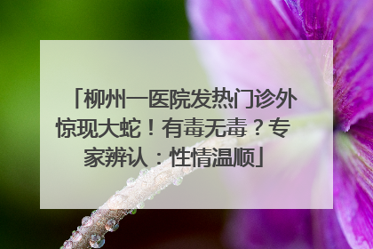柳州一医院发热门诊外惊现大蛇！有毒无毒？专家辨认：性情温顺