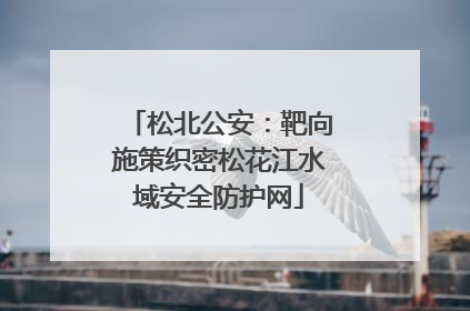 松北公安：靶向施策织密松花江水域安全防护网