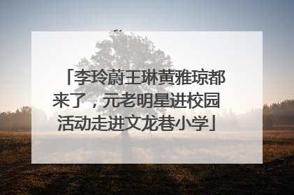 李玲蔚王琳黄雅琼都来了，元老明星进校园活动走进文龙巷小学