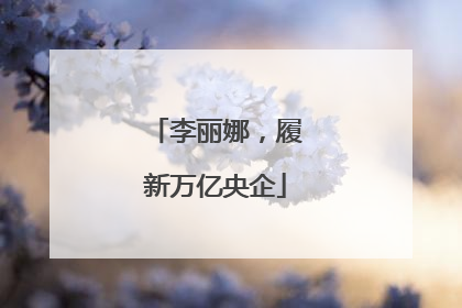 李丽娜，履新万亿央企