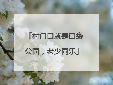 村门口就是口袋公园，老少同乐