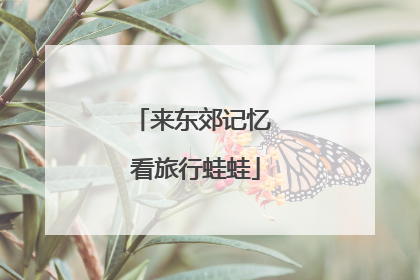 来东郊记忆 看旅行蛙蛙