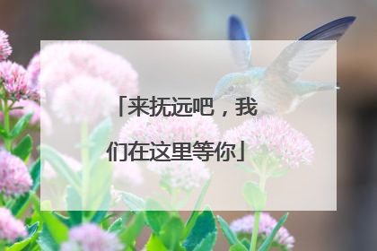 来抚远吧，我们在这里等你