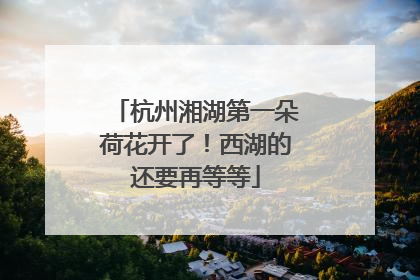杭州湘湖第一朵荷花开了！西湖的还要再等等