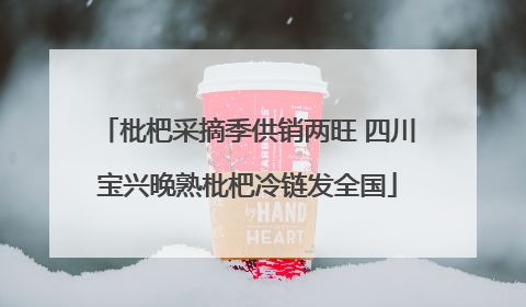枇杷采摘季供销两旺 四川宝兴晚熟枇杷冷链发全国