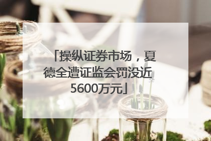 操纵证券市场，夏德全遭证监会罚没近5600万元