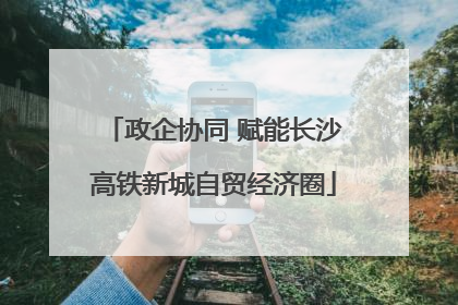 政企协同 赋能长沙高铁新城自贸经济圈