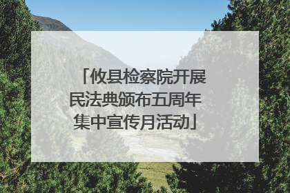 攸县检察院开展民法典颁布五周年集中宣传月活动
