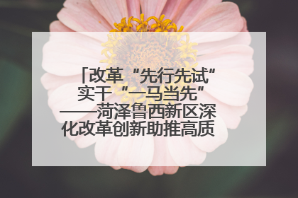 改革“先行先试” 实干“一马当先”——菏泽鲁西新区深化改革创新助推高质量发展纪实