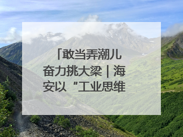 敢当弄潮儿 奋力挑大梁｜海安以“工业思维”拓宽共富路