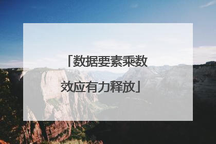 数据要素乘数效应有力释放