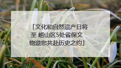 文化和自然遗产日将至 崂山区5处省保文物邀您共赴历史之约