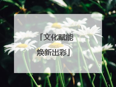 文化赋能 焕新出彩