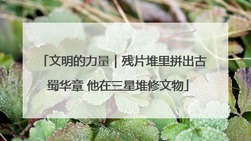 文明的力量｜残片堆里拼出古蜀华章 他在三星堆修文物