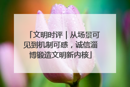 文明时评｜从场景可见到机制可感，诚信淄博锻造文明新内核