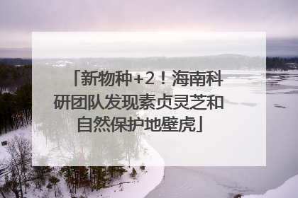 新物种+2！海南科研团队发现素贞灵芝和自然保护地壁虎