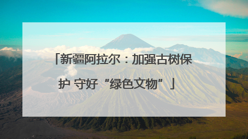 新疆阿拉尔：加强古树保护 守好“绿色文物”