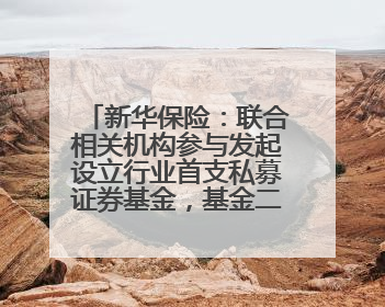 新华保险：联合相关机构参与发起设立行业首支私募证券基金，基金二期200亿元已募集完毕