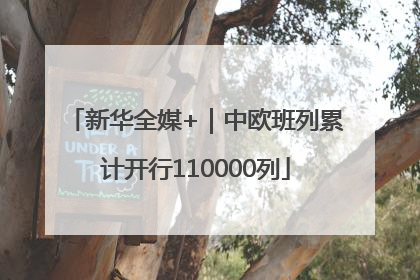 新华全媒+｜中欧班列累计开行110000列