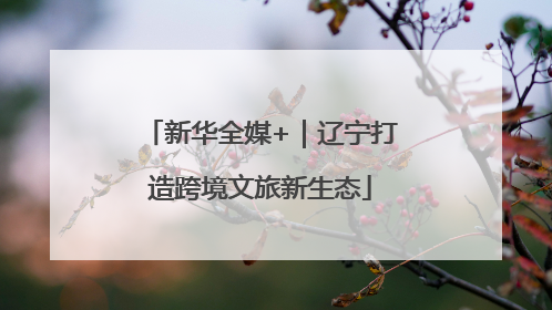新华全媒+｜辽宁打造跨境文旅新生态