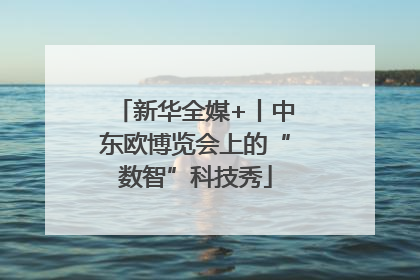 新华全媒+丨中东欧博览会上的“数智”科技秀