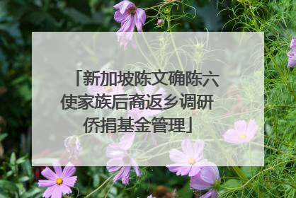 新加坡陈文确陈六使家族后裔返乡调研侨捐基金管理