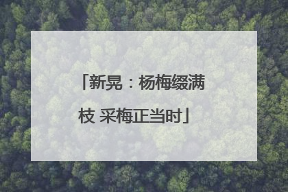 新晃：杨梅缀满枝 采梅正当时
