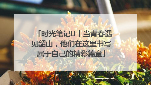 时光笔记⑪丨当青春遇见韶山，他们在这里书写属于自己的精彩篇章