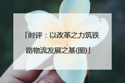 时评：以改革之力筑铁路物流发展之基(图)