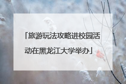 旅游玩法攻略进校园活动在黑龙江大学举办