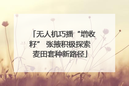 无人机巧播“增收籽” 张掖积极探索麦田套种新路径