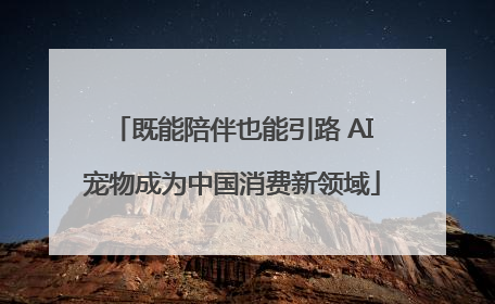 既能陪伴也能引路 AI宠物成为中国消费新领域