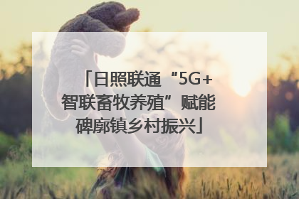日照联通“5G+智联畜牧养殖”赋能碑廓镇乡村振兴
