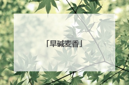 旱碱麦香