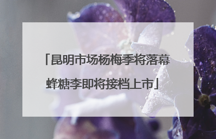 昆明市场杨梅季将落幕 蜂糖李即将接档上市