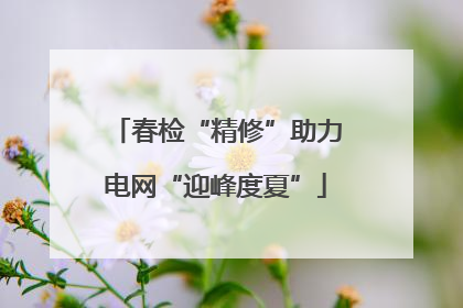 春检“精修”助力电网“迎峰度夏”