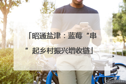 昭通盐津：蓝莓“串”起乡村振兴增收链