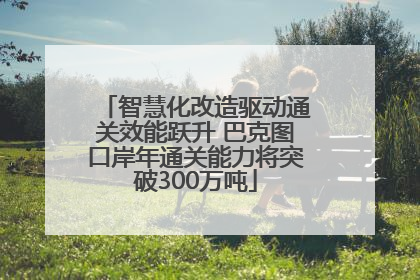 智慧化改造驱动通关效能跃升 巴克图口岸年通关能力将突破300万吨