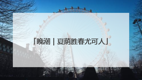 晚潮｜夏荫胜春尤可人