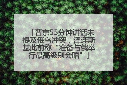 普京55分钟讲话未提及俄乌冲突，泽连斯基此前称“准备与俄举行最高级别会晤”