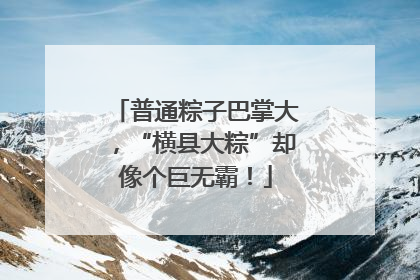 普通粽子巴掌大，“横县大粽”却像个巨无霸！