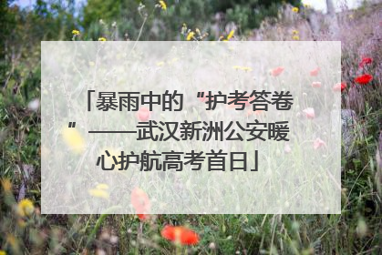 暴雨中的“护考答卷”——武汉新洲公安暖心护航高考首日