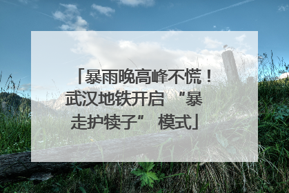 暴雨晚高峰不慌！武汉地铁开启 “暴走护犊子” 模式