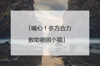 暖心！多方合力救助被困小猫
