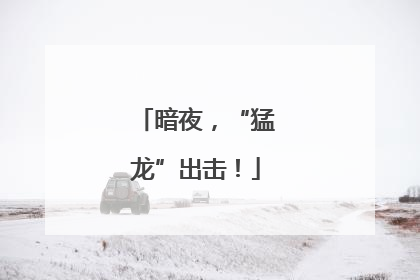 暗夜，“猛龙”出击！