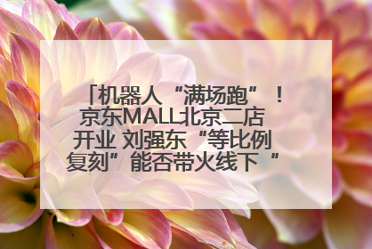 机器人“满场跑”！京东MALL北京二店开业 刘强东“等比例复刻”能否带火线下“618”？