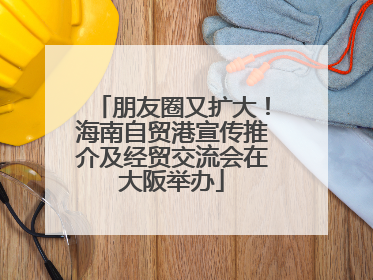 朋友圈又扩大！海南自贸港宣传推介及经贸交流会在大阪举办