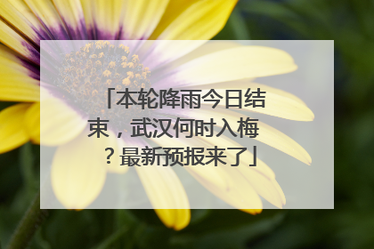 本轮降雨今日结束，武汉何时入梅？最新预报来了